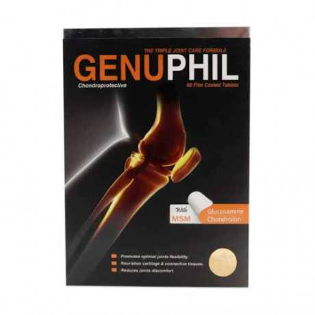 GENUPHIL (GLUCOSAMINE CHONDROITIN) 60 FILM COATED TABLETS