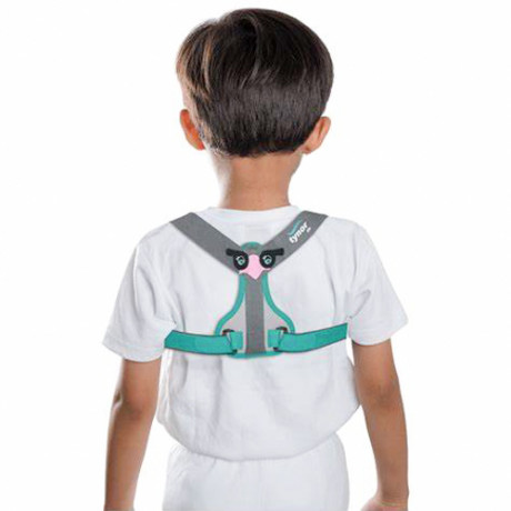 Tynor Clavicle Brace with Fastening Tape C-05 (CH)